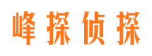 温泉调查公司